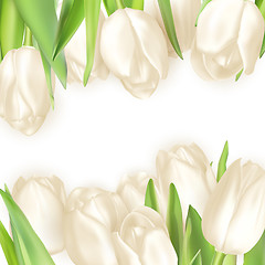 Image showing Bouquet of white tulips. EPS 10