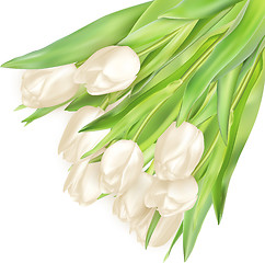 Image showing Bouquet of white tulips. EPS 10