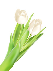 Image showing Tulips decorative background. EPS 10