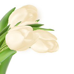 Image showing Tulips decorative background. EPS 10