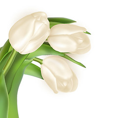 Image showing Tulips decorative background. EPS 10