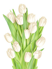 Image showing Bouquet of white tulips. EPS 10