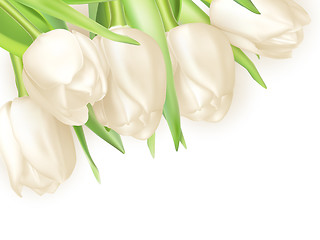 Image showing Bouquet of white tulips. EPS 10