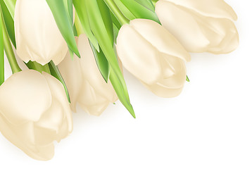 Image showing Tulips decorative background. EPS 10