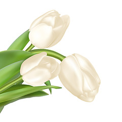 Image showing Tulips decorative background. EPS 10