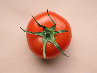 Image showing Red tomato vegetables