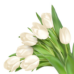 Image showing Bouquet of white tulips. EPS 10