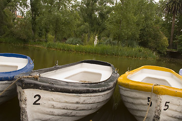 Image showing A day in the park