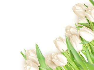 Image showing Tulips decorative background. EPS 10