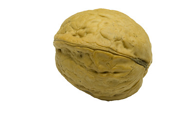 Image showing isolated walnut