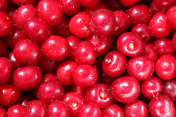 Image showing red ripe cherry berries