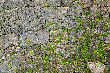 Image showing Stone wall texture