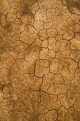 Image showing Mud cracked