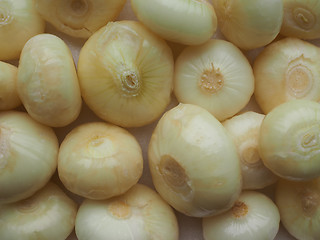 Image showing Onions vegetables