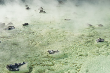 Image showing Japanese Hot Spring