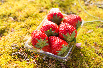 Image showing Strawberry in package