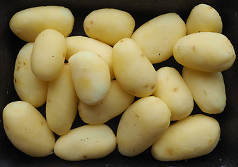 Image showing Potato vegetables in a tub