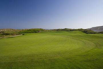 Image showing Green in a golf course