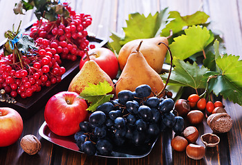 Image showing autumn fruits 