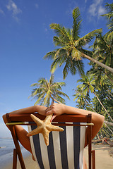 Image showing Sunbathing Tropical Style