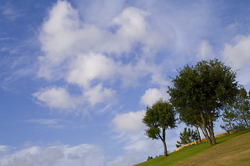 Image showing Walk on the park