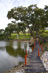 Image showing The path by the lake