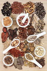 Image showing Chinese Apothecary Herbs