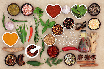 Image showing Herb and Spice Food Seasoning 