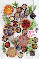 Image showing Natural Herbal Medicine