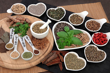 Image showing Natural Alternative Medicine