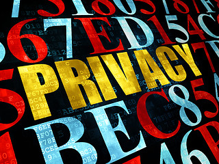 Image showing Privacy concept: Privacy on Digital background