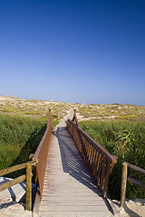 Image showing the path to the beach