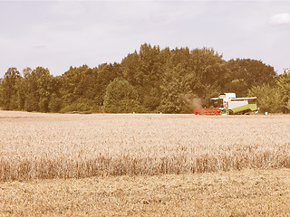 Image showing  Harvest vintage