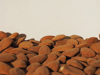 Image showing Almonds dried fruit with copy space