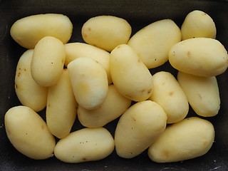 Image showing Potato vegetables in a tub