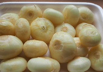 Image showing Onions vegetables