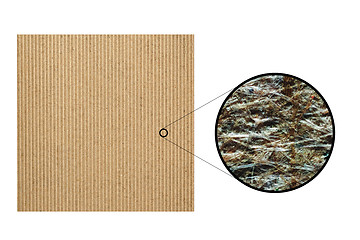 Image showing Recycled cardboard seen with microscope