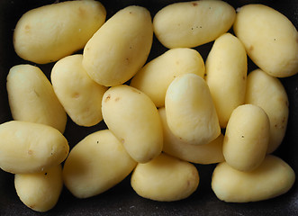 Image showing Potato vegetables in a tub