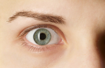 Image showing open eye