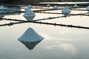 Image showing Row of salt piles to be harvested