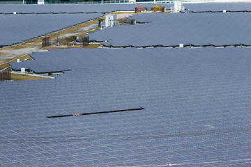 Image showing Solar panel in electricity industry 