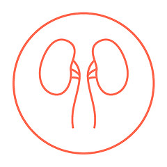 Image showing Kidney line icon.