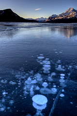 Image showing Abraham Lake Winter