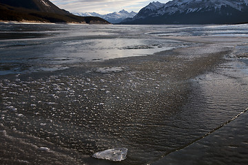 Image showing Abraham Lake Winter