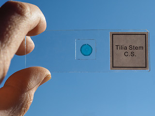 Image showing Slide for optical microscope