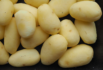 Image showing Potato vegetables in a tub