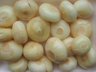 Image showing Onions vegetables