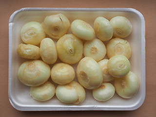 Image showing Onions vegetables