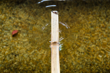 Image showing Bamboo fountain in traditional Japanese garden