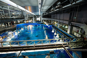 Image showing Giant Water tank in Aquarium